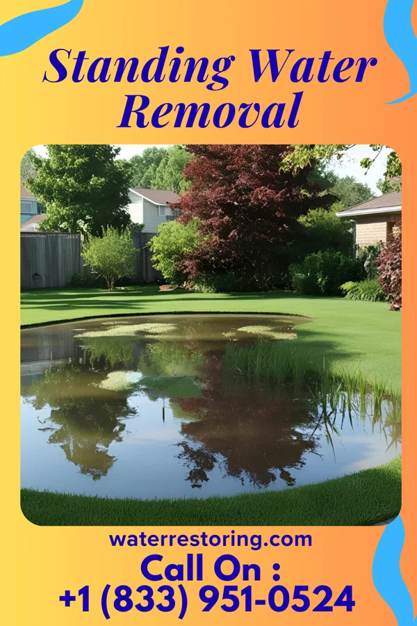 Standing Water Removal in Evergreen, AL